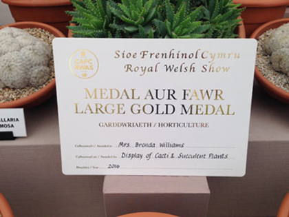 Awards - Large Gold Medal award