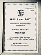 Guild Award 2017